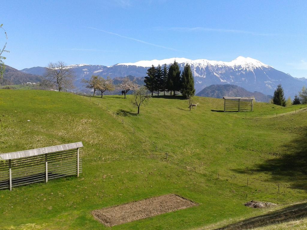 Apartment Alpine Lake Bled Quarto foto